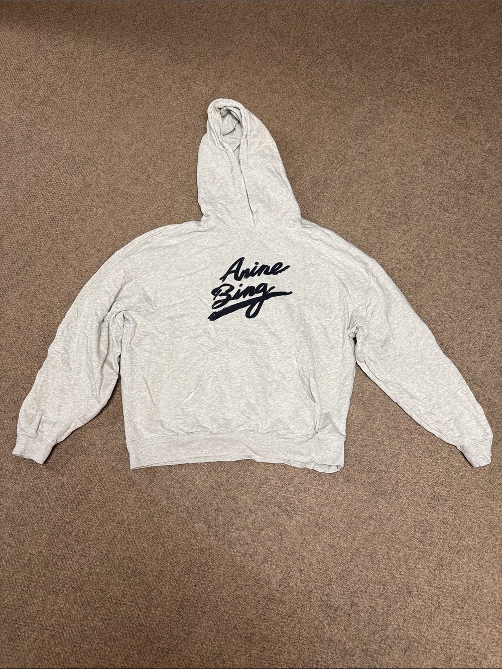 EUC Anine Bing Harvey Hoodie with Script Logo - Picture 3 of 4